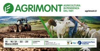 Agrimont 2025: agricoltura in pendienza con trattore e gregge di pecore a Longarone, Belluno