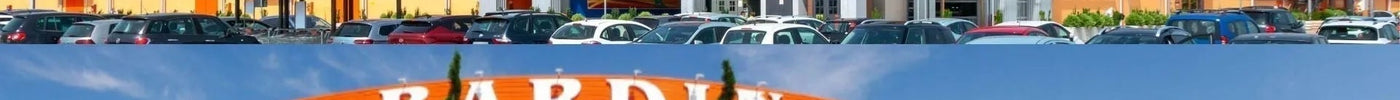 Negozio SME e Bardin con facciate arancioni e parcheggio pieno