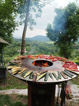 Barbecue a legna con verdure grigliate su griglia in acciaio, vista panoramica su colline verdi