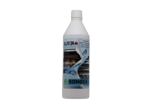 Detergente concentrato per barbecue e griglie in acciaio inox RZeta Songea