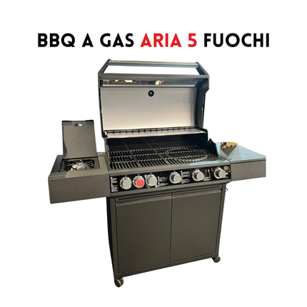 BBQ a Gas | Aria 5